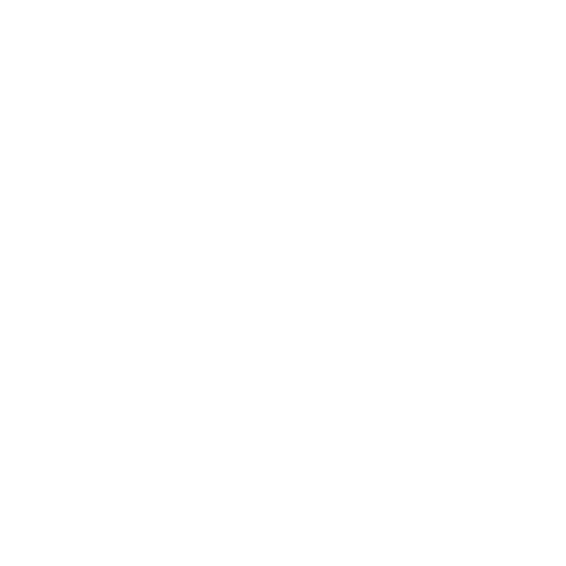 Chiguru Exports Logo
